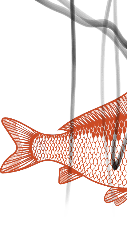 Der Schwanz eines Fisches vor Hintergrund. Eine Grafik von Philipp Wagner